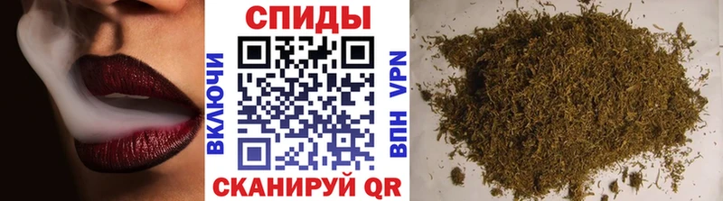 БУТИРАТ буратино Вичуга