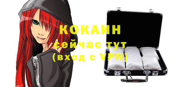 кокс Белокуриха
