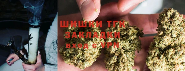 гашик Богородск