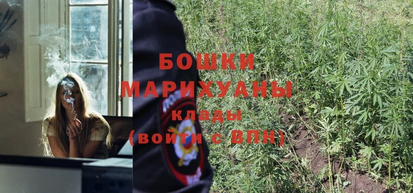 кокс Белокуриха