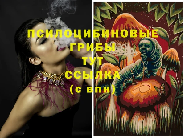 гашик Богородск